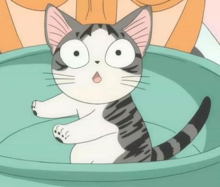 我还记得小时候看过一个动画片,叫做《甜甜私房猫》,里面无死角的展现