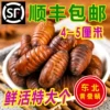 Товары от 东北小伙0o