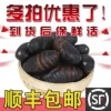 Товары от 东北小伙0o