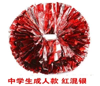 Учащиеся средней школы красное смешанное серебро