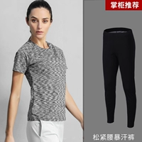 Пот T -Fore -Forgy Roomves+Sweat Ants (темно -серые)