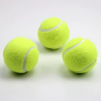 Phục vụ trò chơi cơ sở và trung cấp thú cưng đặc biệt đồ chơi cao hồi phục quần vợt đào tạo thiết bị bóng trẻ em 3 - Quần vợt vợt tennis babolat 270g