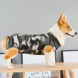 Одежда собак плюшевая осень и зимние животные, Корчи, маленькая большая собака Шиба Ину Золотой ретривер барон щенка четыре фута