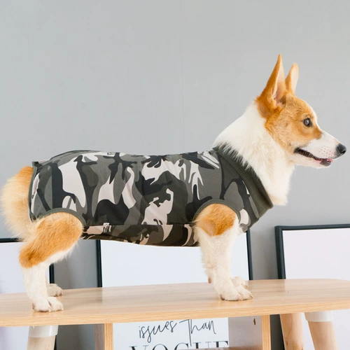 Одежда собак плюшевая осень и зимние животные, Корчи, маленькая большая собака Шиба Ину Золотой ретривер барон щенка четыре фута