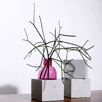 Bê tông xi măng mới sáng tạo thủy canh container thủy tinh ống nghiệm bình đơn giản phòng khách nhà trang trí hoa - Vase / Bồn hoa & Kệ chậu cây treo tường trong nhà