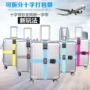 Du lịch ở nước ngoài cung cấp dây đai hành lý dây đai chéo với khóa mật khẩu đi kèm với du lịch thiết bị cầm tay móc treo đồ lót