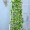 Mô phỏng buổi sáng treo tường trang trí mây trong nhà treo giỏ nho nhựa hoa giả treo hoa treo tường hoa treo - Hoa nhân tạo / Cây / Trái cây