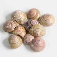 Маленькие ингредиенты 5 1-2 см.