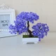 【Yunsong Purple Purple】