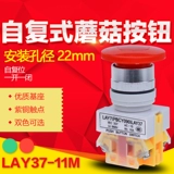 LAY37 (PBC) Y090-11M 22 мм.