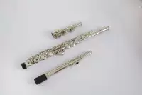 Lỗ đóng lỗ giới thiệu nhạc cụ sáo phân loại học sinh chơi sáo 16 mạ niken và Xiao Chu Xuetian điều chỉnh đẹp - Nhạc cụ phương Tây kèn sắc xô phôn