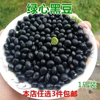 Xindou Guangxi Bama Green Heart Black Bean 500G горная ферма, выраженная зеленым ядра Черная фасоль Черный соевый молоко