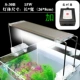 S-30B+Smart Simple Timer
