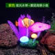 Purple Aquatic 2 грибной грибной грибной аспект