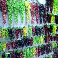 За 14 лет старый магазин более 20 цветов симуляции симуляции фиолетовых зеленых виноград