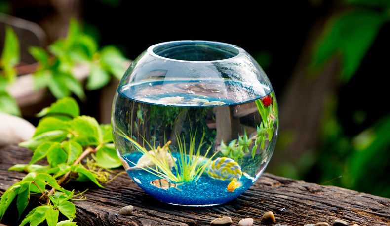 微型迷你鱼缸,室内的彩色风景
