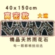 Переопределение проспекта 40*150см