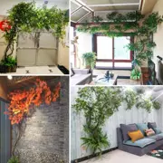 Mô hình quy mô lớn mô phỏng cành cây xanh châu Âu hoa nho thanh nhựa treo tường cây phong vườn phòng khách giả - Hoa nhân tạo / Cây / Trái cây
