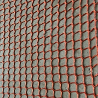 Оранжевая не -концентрированная сетка 2,5 см укреплена (1 квадратный метр)