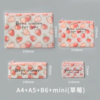 A4+A5+B6+Mini (клубника)