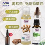 Bây giờ Noo Mỹ nhập khẩu dầu thầu dầu + tinh dầu hương thảo để cải thiện hàng mi chăm sóc tóc - Tinh dầu điều trị