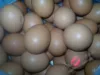 Товары от sym122448