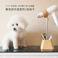 Кроншон с феном домашнего животного ленивый собака выдувает вентилятор водяной машины, выдувающий фиксированный стентный дом для ванны ванны