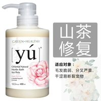 Формула ремонта камелии