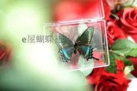 Для принцессы, 7см