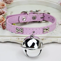 Костный порошок