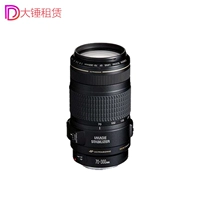 Cho thuê ống kính DSLR Canon EF 70-300mm f4-5.6 IS II USM Sledgehammer Cho thuê lens sigma cho fujifilm