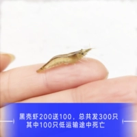 Черная раковина 200 бесплатная доставка