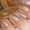 [Cổ phiếu Hồng Kông] Sơn móng tay Sally Hansen cho nữ nướng chống bong tróc chất lượng cao màu ngọc trai - Sơn móng tay / Móng tay và móng chân