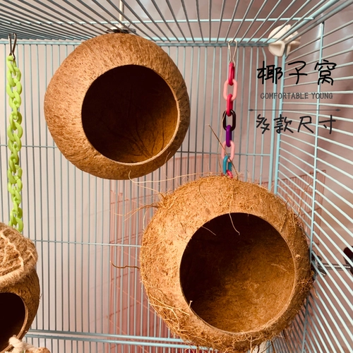 Медоносные сумки, висящие крысы летающие крыса, висящие птицы, гнездо кокосовые гнездовые домашние животные большой дом, антибитовое деревянное гнездо