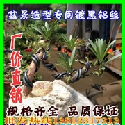 Vật tư làm vườn mô hình cây cảnh dây nhôm đặc biệt dây nhôm đen DIY 扎丝 花 500g - Nguồn cung cấp vườn
