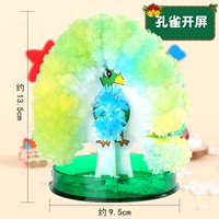 Павлин открывает модели цветения бумаги