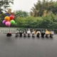 9 котов + цветные шарики + резиновый коврик без следов.