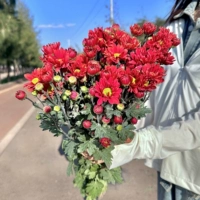 Ретро упаковка 5 Red Harle