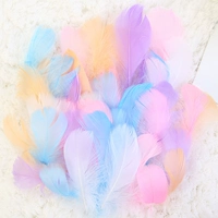 Макаронные перья (смешанный цвет) 50 корней