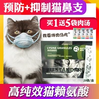 Rui Kafu lysine bột mèo xoang mũi hắt hơi hắt hơi nước mắt hắt hơi mèo amine ryan axit bột 20 túi - Cat / Dog Health bổ sung sữa cho chó con rẻ