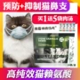 Rui Kafu lysine bột mèo xoang mũi hắt hơi hắt hơi nước mắt hắt hơi mèo amine ryan axit bột 20 túi - Cat / Dog Health bổ sung sữa cho chó con rẻ