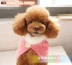 Bánh gạo nhỏ trang phục thú cưng nguyên bản Yorkshire Teddy cat dog handmade giả lông cổ áo mặt trời hoa nhỏ khăn choàng - Quần áo & phụ kiện thú cưng quần áo cho chó lớn Quần áo & phụ kiện thú cưng