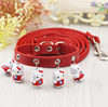 5 big red KT+red leading rope