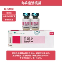 Прыщи должны (50 голов x10 бутылка)