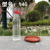 Роза красная