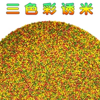 Красочные рисовые ингредиенты, рисовые гнезды, рыбалка, рыбалка с тремя колорными рисовыми гранулами.