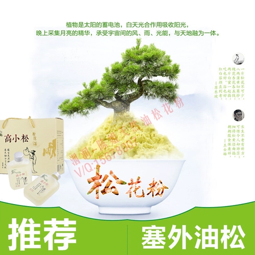 Шаг сосны высокая сосна сосна цветочное вино вино вино сорня сорня сорго сорго сорго сорго сорго 52 градуса 100 мл*6 бутылок