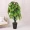 Hoa giả mô phỏng may mắn đầu phòng khách sàn mô phỏng nhà máy chậu trang trí nhựa cảnh vật trang trí tốt lành anthurium - Hoa nhân tạo / Cây / Trái cây cây giả