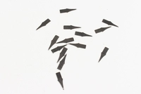 360 поездок 5 установок