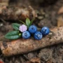 Cục Lâm nghiệp Mori Thiết kế thủ công ban đầu Bông tuyết Blueberry Berry Kẹp tóc, Clip bên, Phụ kiện tóc Cá miệng Clip - Phụ kiện tóc băng đô nữ